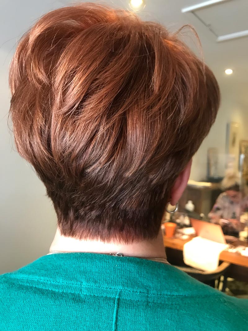 Copper-Hair-Short-hair-Style-Elegant-Short-Hair-Style
